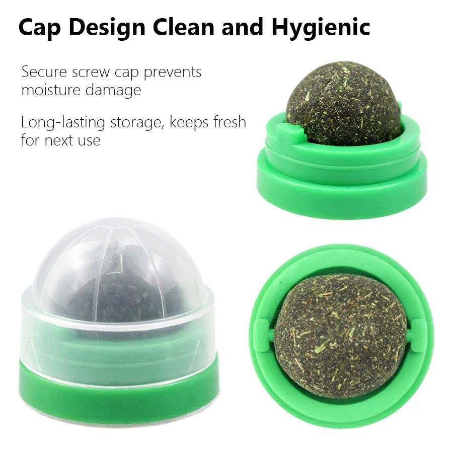 Interactive Spinning Catnip & Mint Ball for Cats Natural Dental Care Chew Toy Hairball Control Kitten Chew Toy