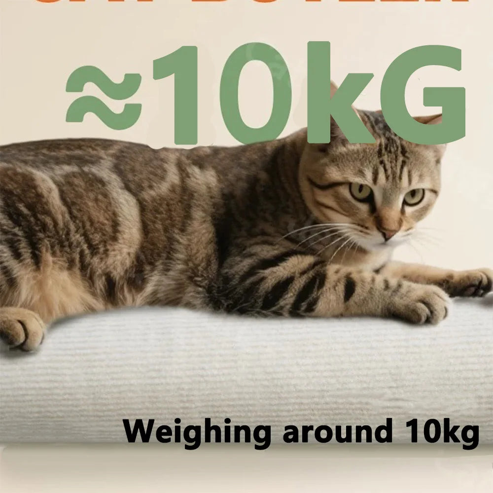 7 Color Cats Scratching Board Wall Mounted Cats Tree Self-Adhesive Cats Scratching Post Wall Cats Toy Climbing Ladder Wall Decal