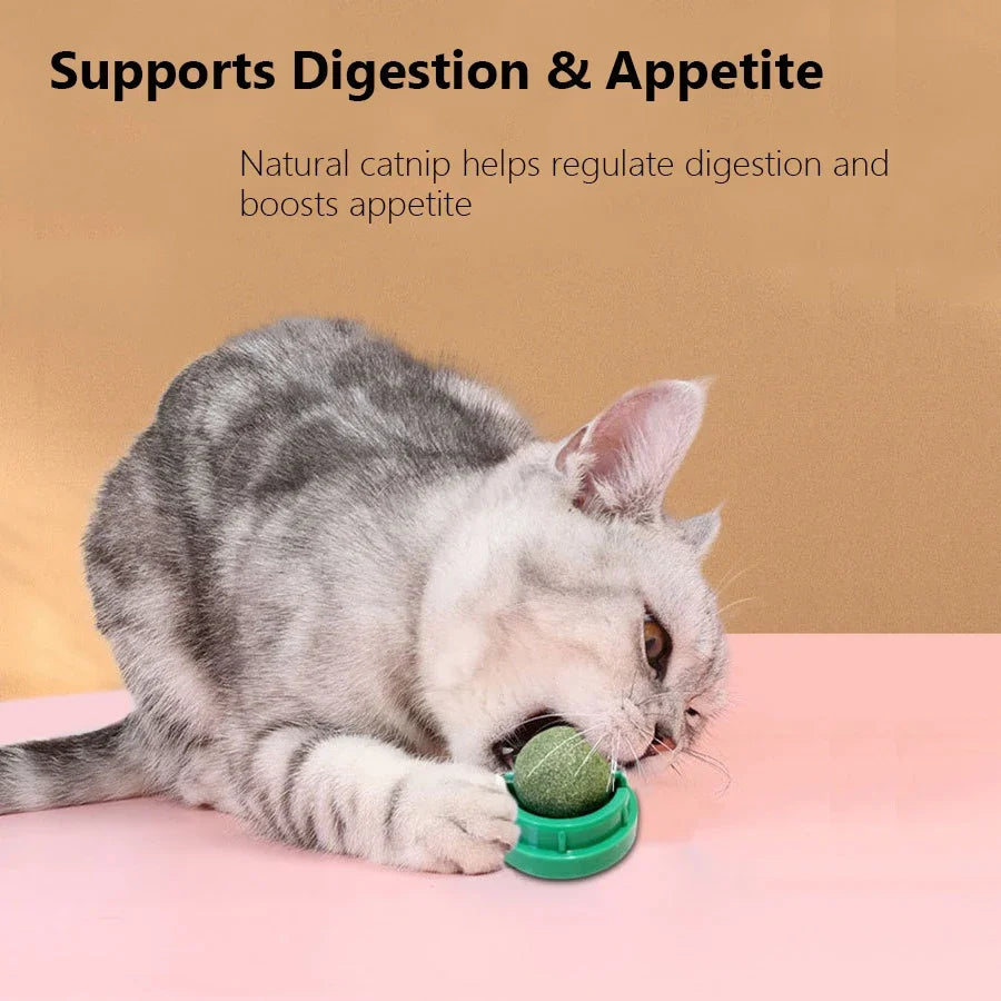 Interactive Spinning Catnip & Mint Ball for Cats Natural Dental Care Chew Toy Hairball Control Kitten Chew Toy