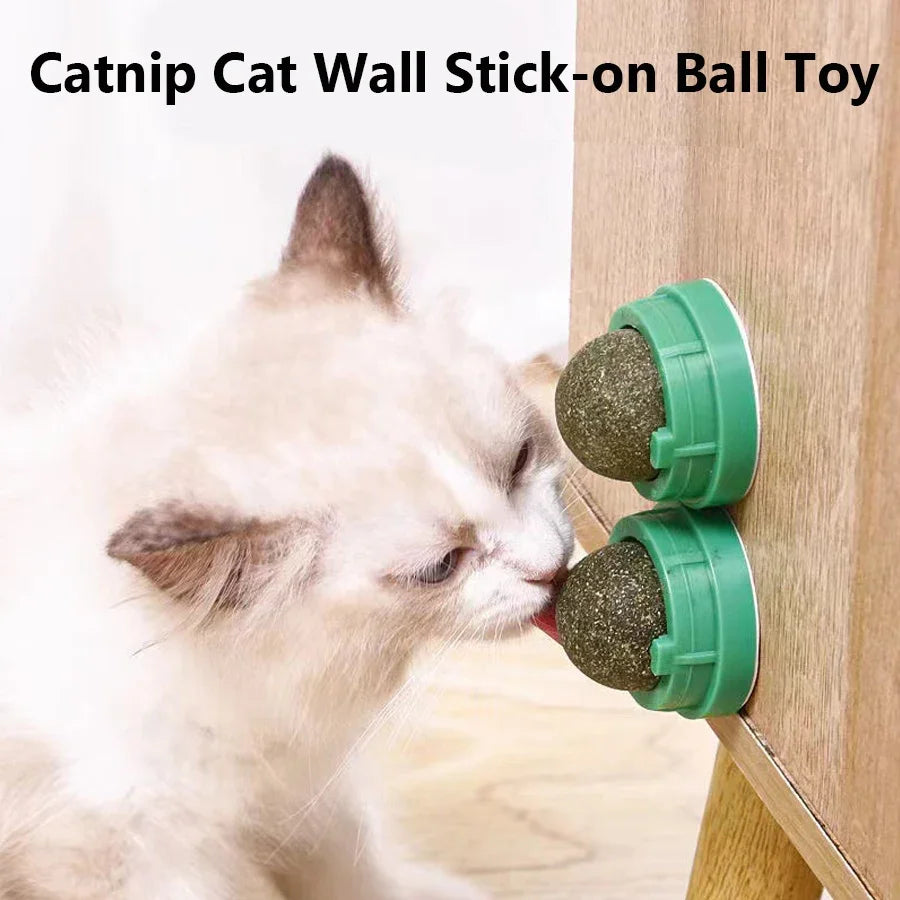 Interactive Spinning Catnip & Mint Ball for Cats Natural Dental Care Chew Toy Hairball Control Kitten Chew Toy