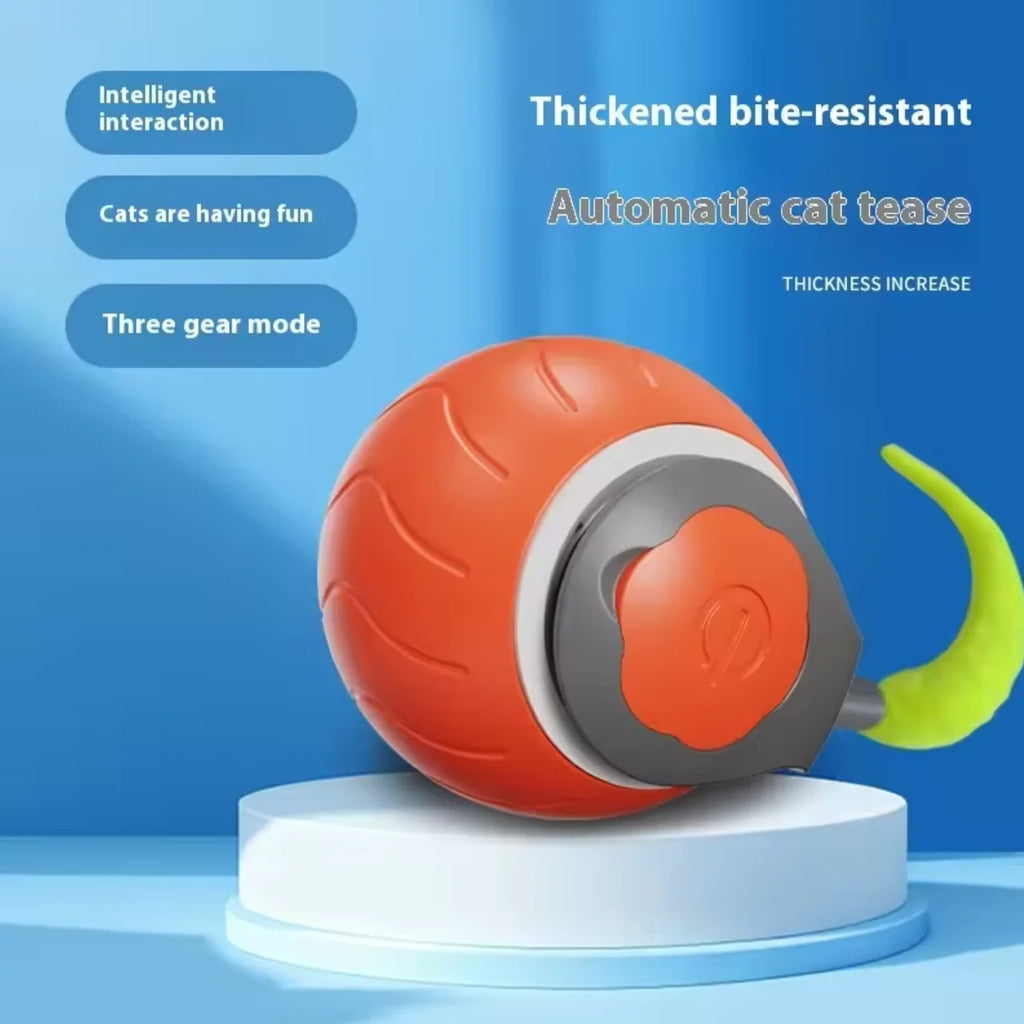 Cats Interactive Ball Toys, Automatic Rolling Ball with Faux Tail,USB Rechargeable SmartElectric Pet Toy for Teaser and Training