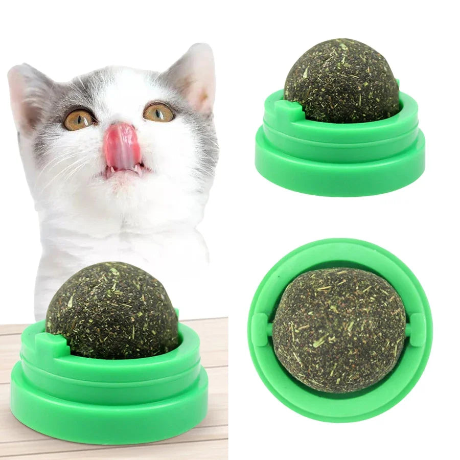 Interactive Spinning Catnip & Mint Ball for Cats Natural Dental Care Chew Toy Hairball Control Kitten Chew Toy