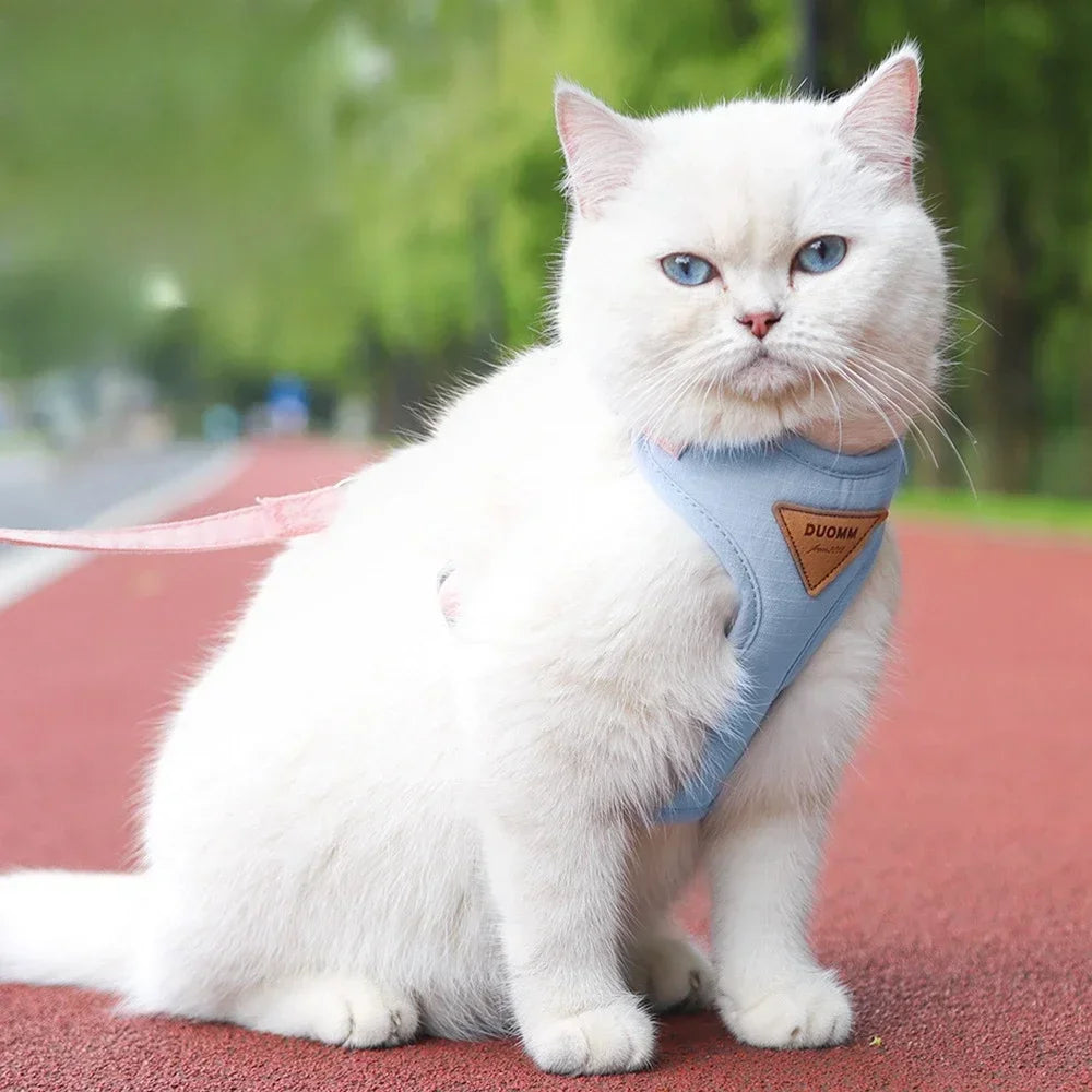 Soft Cat Harness Leash Chest Strap Adjustable Puppy Kittens Vest Outdoors Travel Pet Accessories  for Small Meidum Large