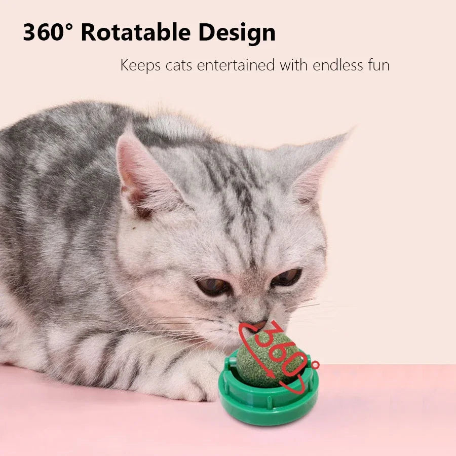 Interactive Spinning Catnip & Mint Ball for Cats Natural Dental Care Chew Toy Hairball Control Kitten Chew Toy