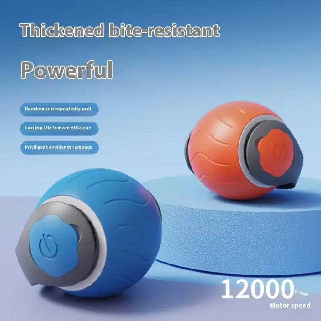 Cats Interactive Ball Toys, Automatic Rolling Ball with Faux Tail,USB Rechargeable SmartElectric Pet Toy for Teaser and Training